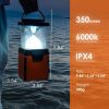 Salt Water Powered Camping and Fishing Multi-devices Chargeable Light